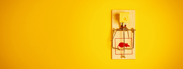 Mouse trap symbolizes social engineering.